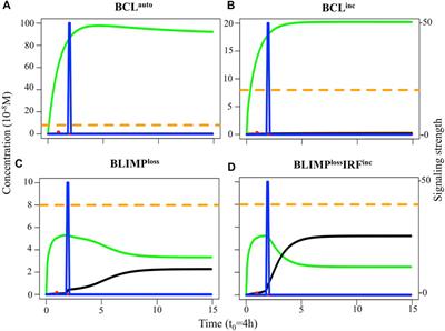 Multi-Scale Modeling Recapitulates the Effect of Genetic Alterations Associated With Diffuse Large B-Cell Lymphoma in the Germinal Center Dynamics